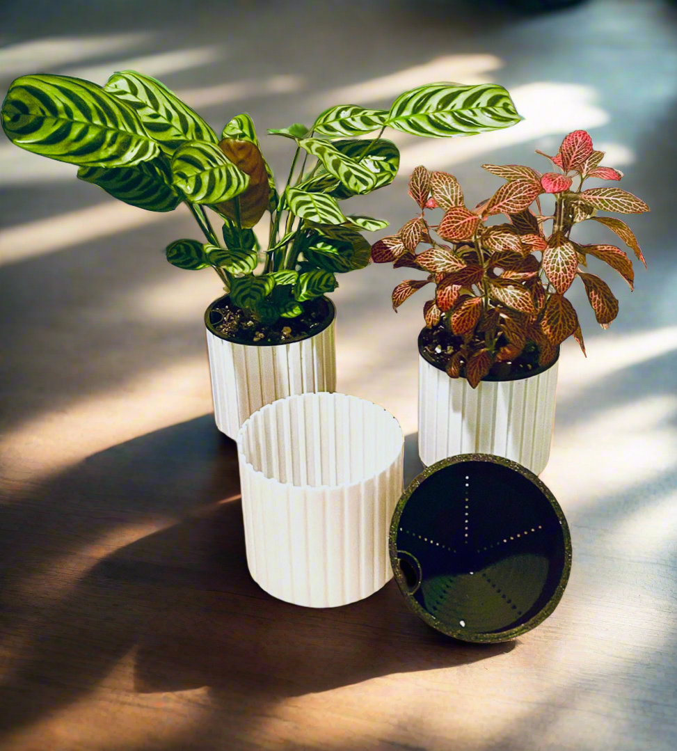 Hydroflow Self Watering Planter