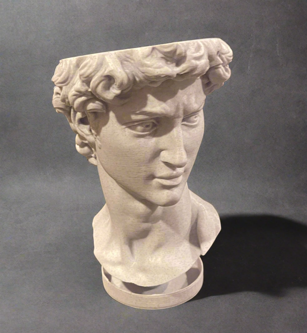 David Bust Planter with Drip Base
