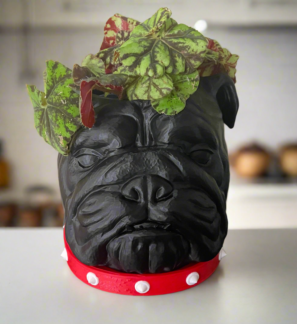 Spike Bulldog Planter with Drip Tray