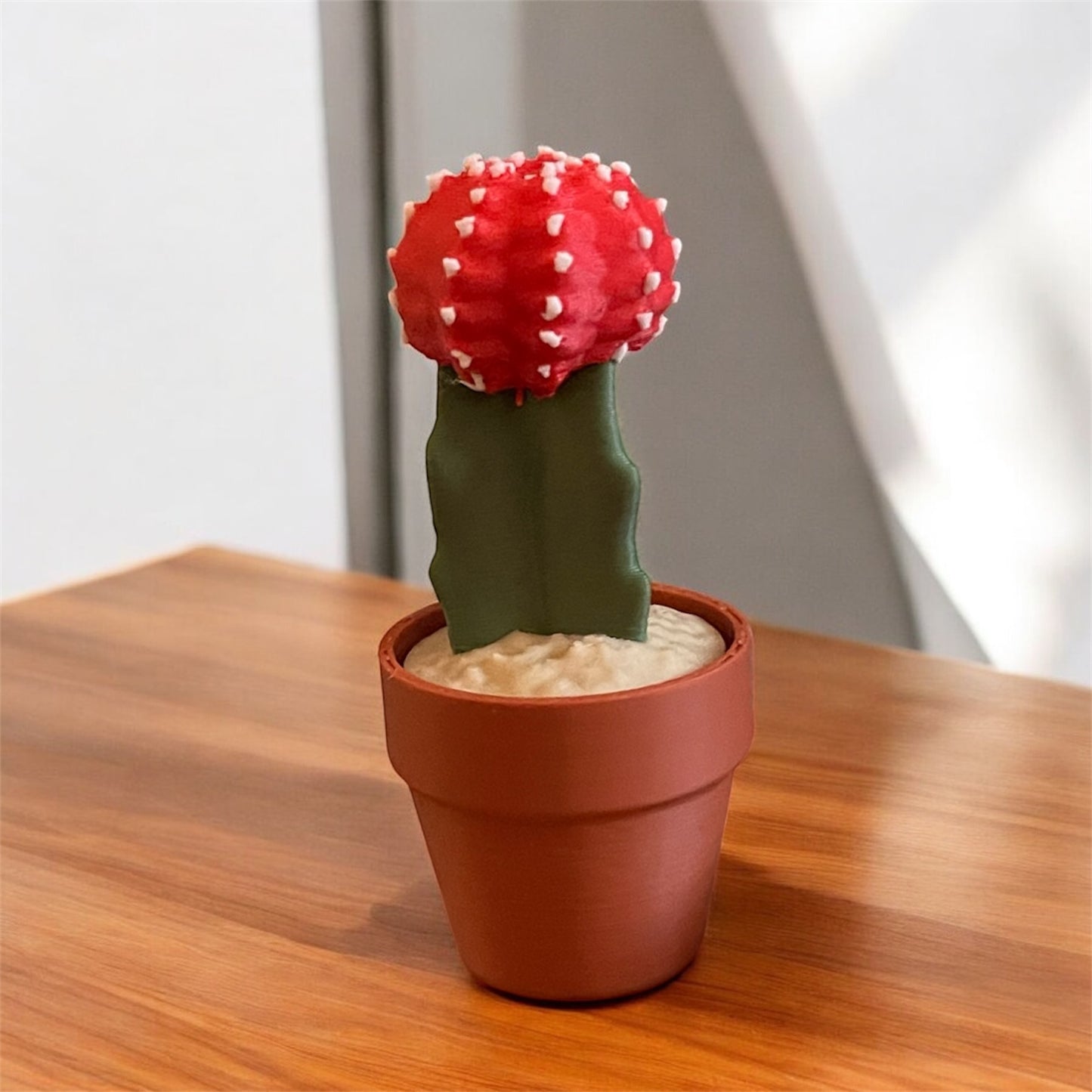 Cactus Clickers Fidget Toy Collection with Display Stand