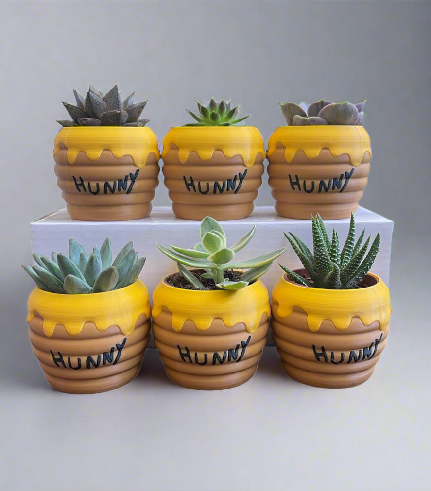 Six-Pack Hunny Pots & Succulents – Winnie the Pooh Party Favors