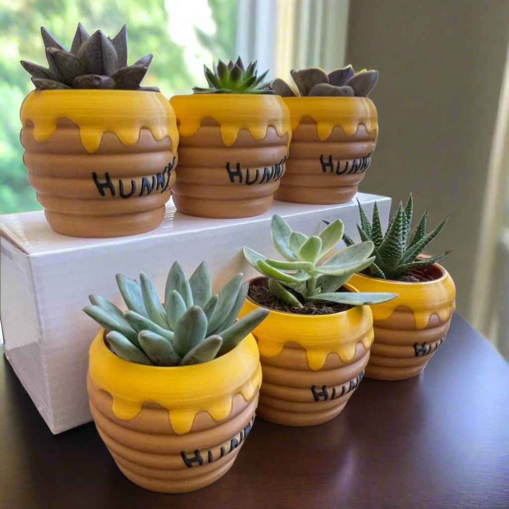 Six-Pack Hunny Pots & Succulents – Winnie the Pooh Party Favors