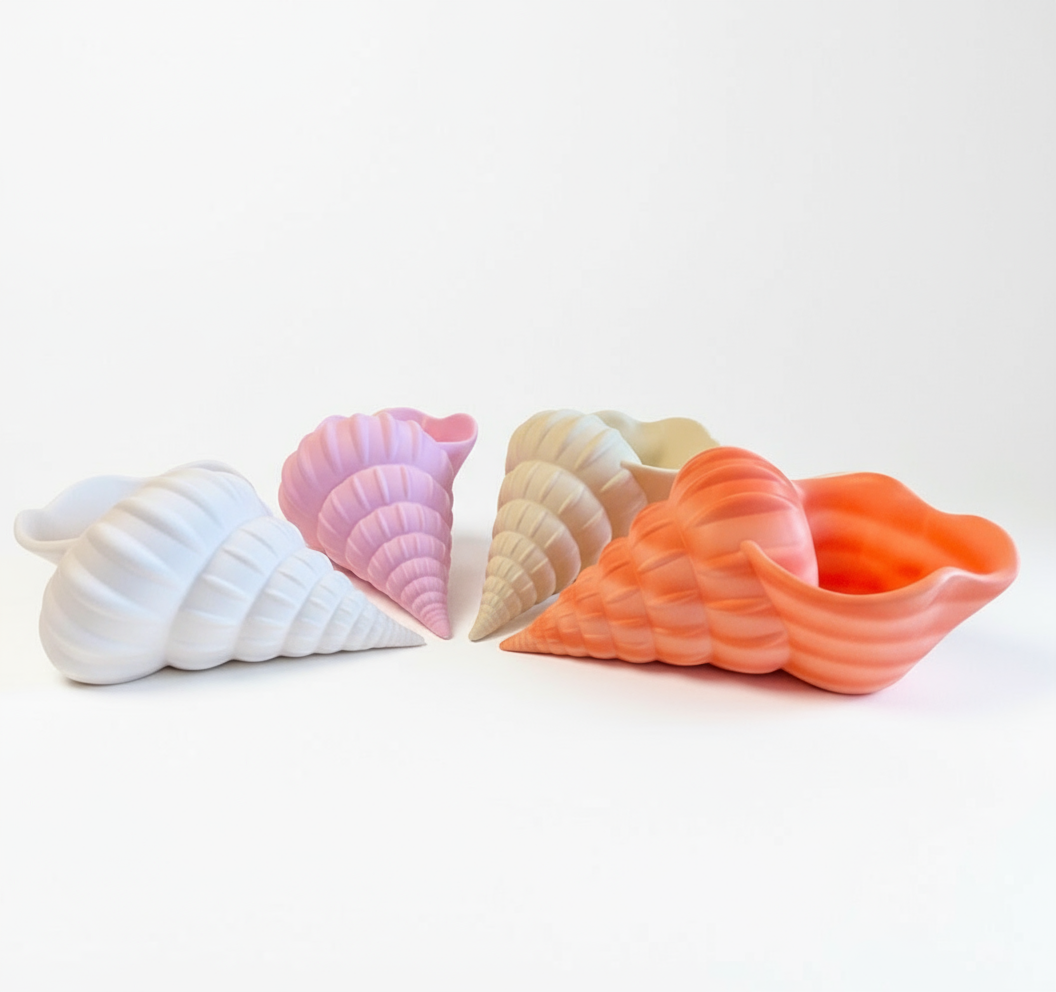 Conch Shell Beach Beauty Planter