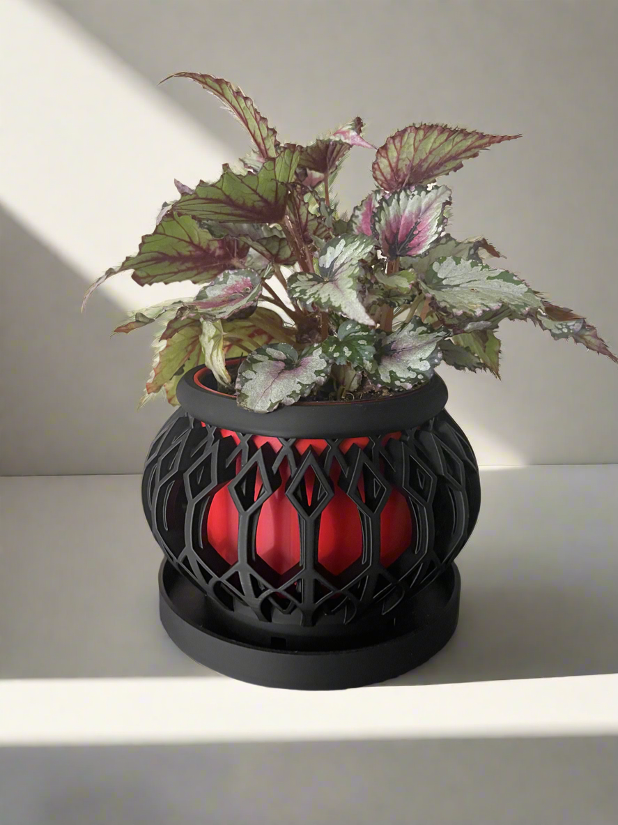 Geometric Cage Planter with Drip Tray
