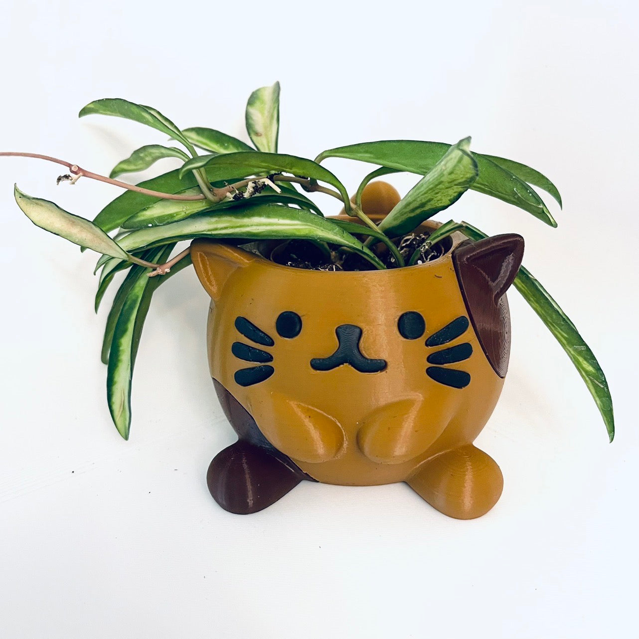 Meowster Cat Planter
