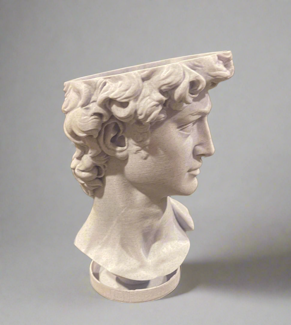 David Bust Planter with Drip Base