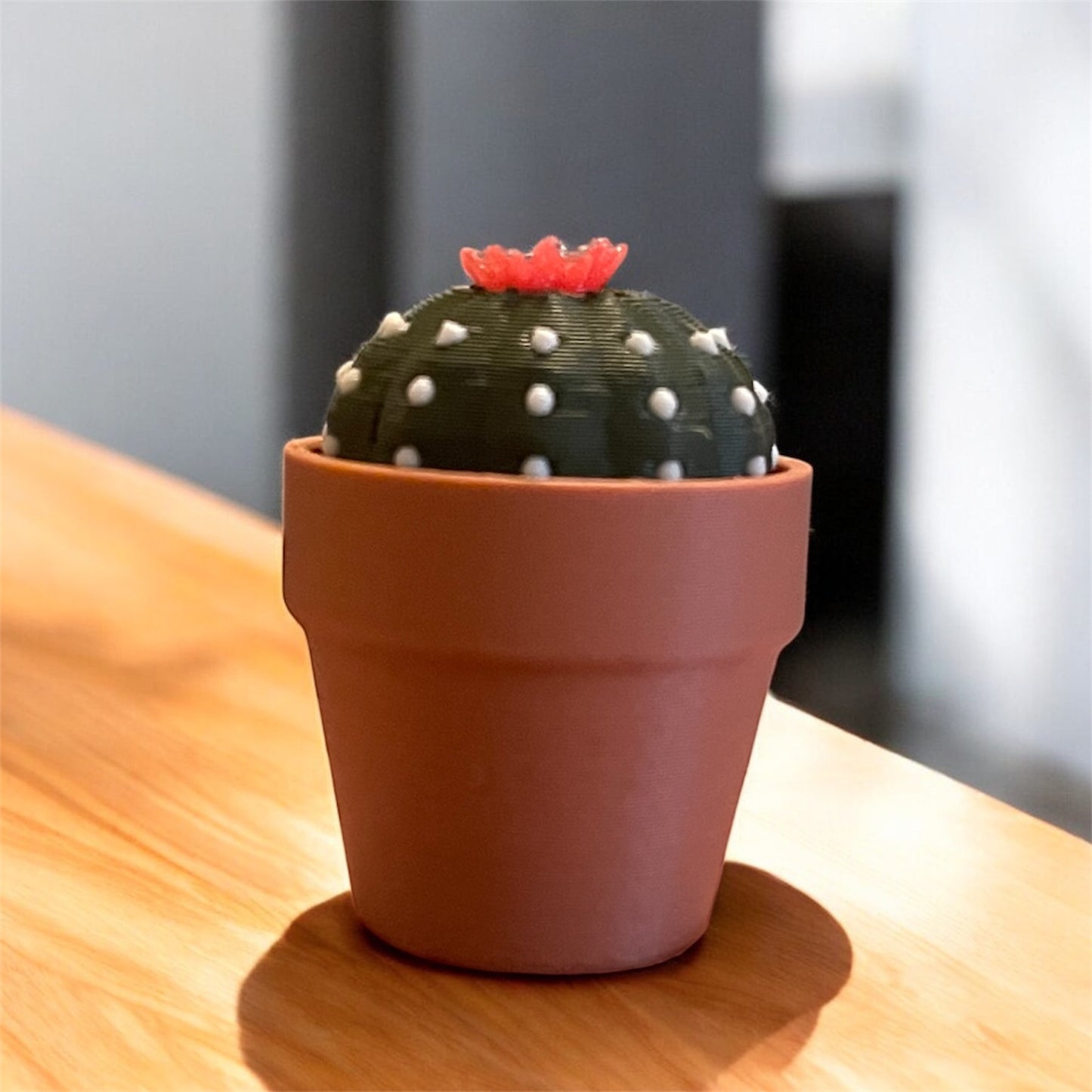 Cactus Clickers Fidget Toy Collection with Display Stand