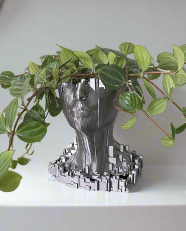 Face Scape Planter with Drip Tray