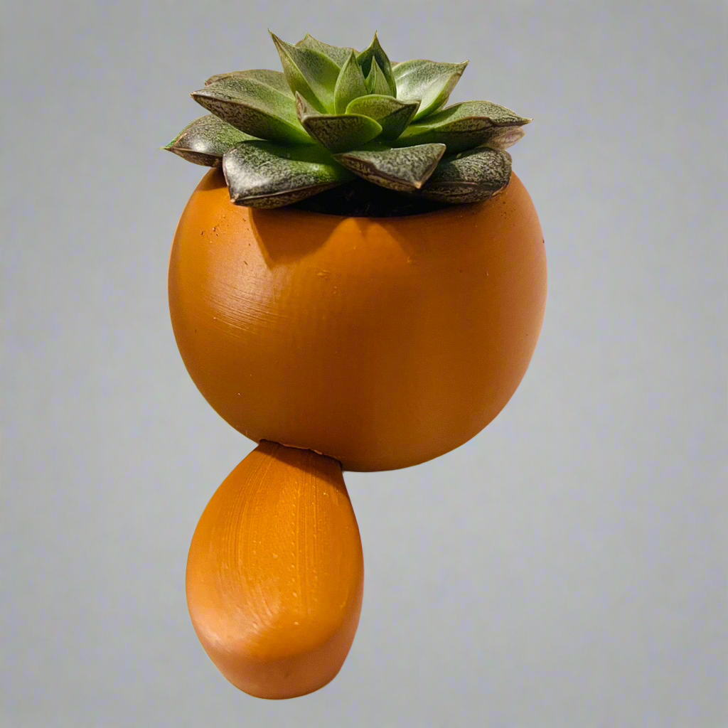 Platypot: Platypus Planter