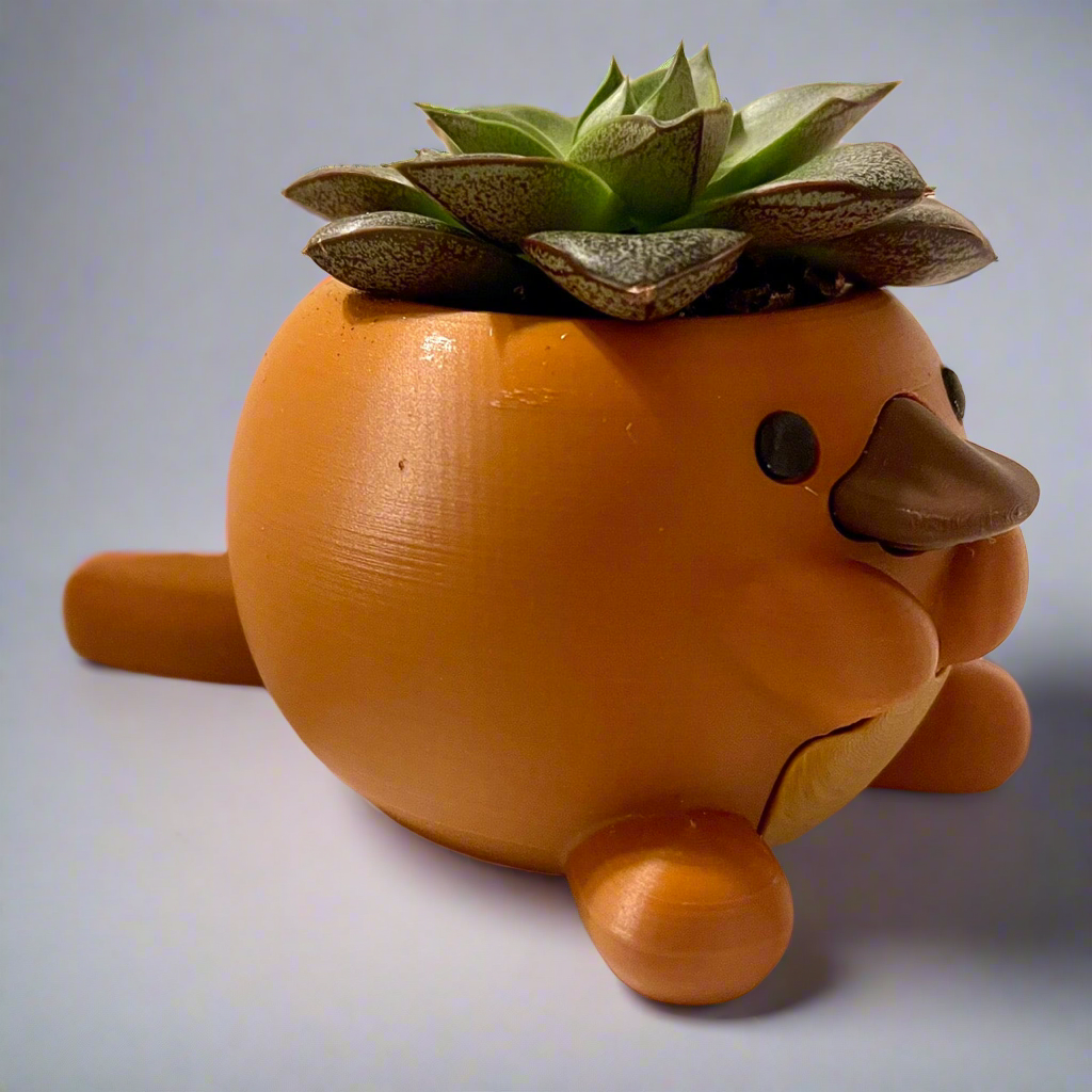 Platypot: Platypus Planter