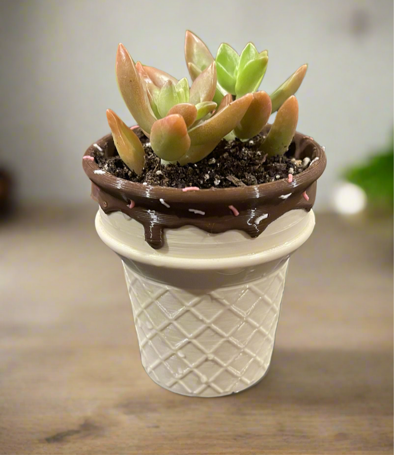 Sprinkle Scoop Planter