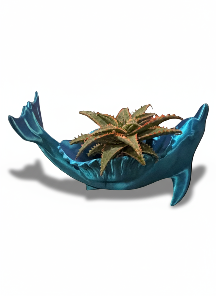 Dolphin Splash Planter