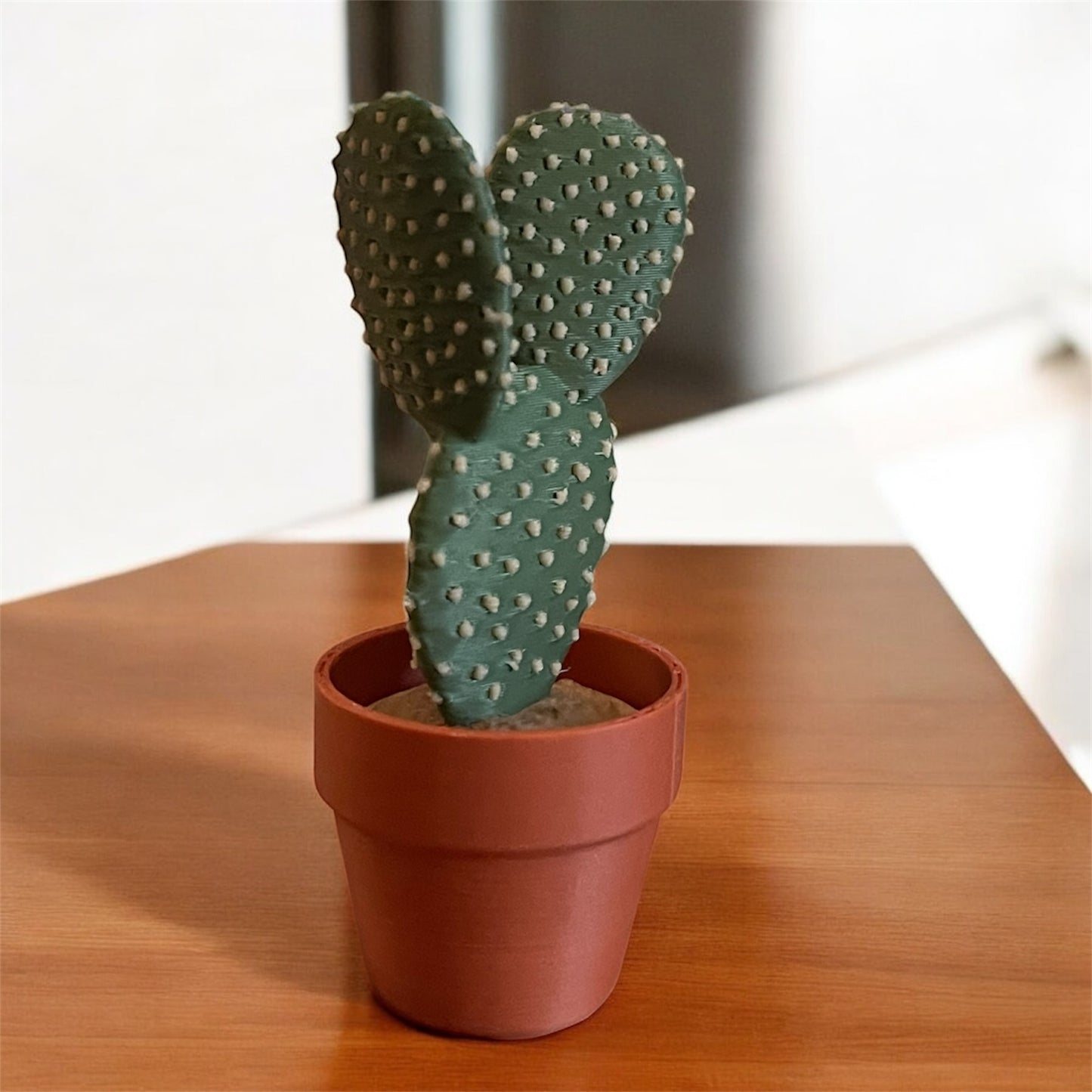 Cactus Clickers Fidget Toy Collection with Display Stand