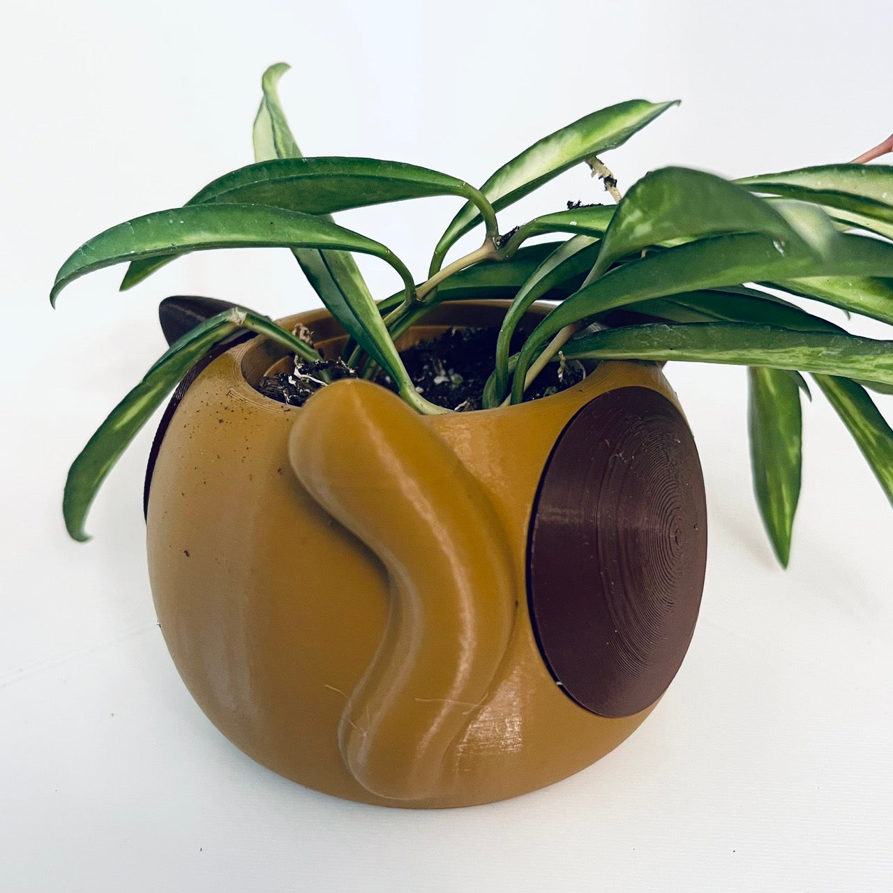 Meowster Cat Planter