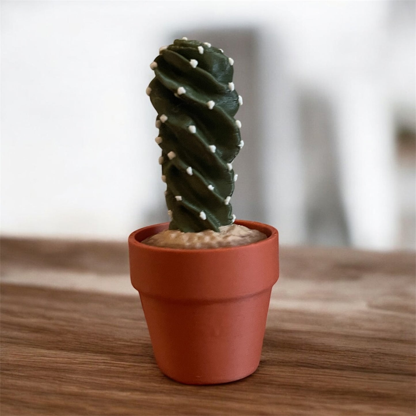 Cactus Clickers Fidget Toy Collection with Display Stand