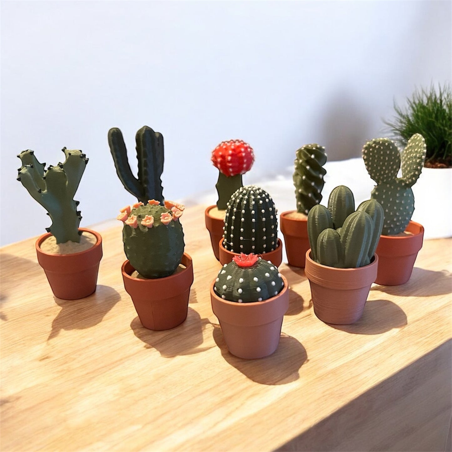 Cactus Clickers Fidget Toy Collection with Display Stand