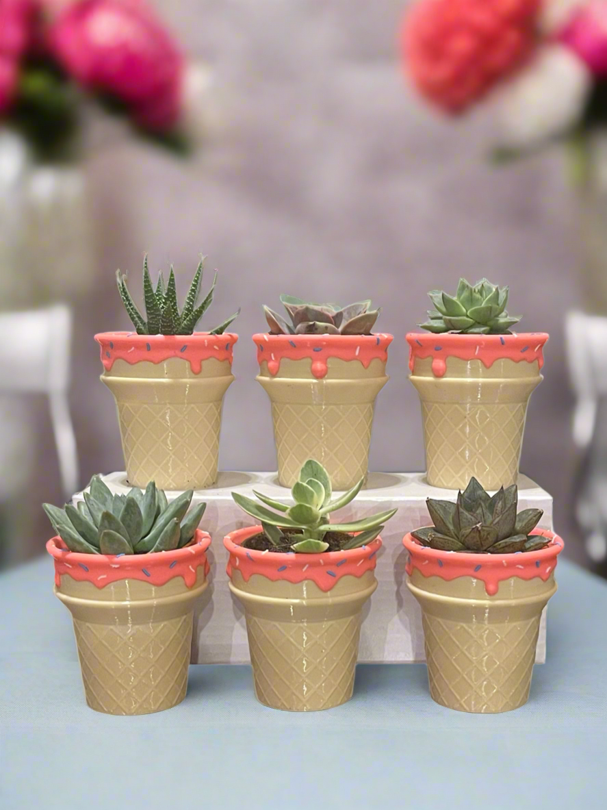 Six-Pack Succulent Filled Ice Cream Scoop Party Favors