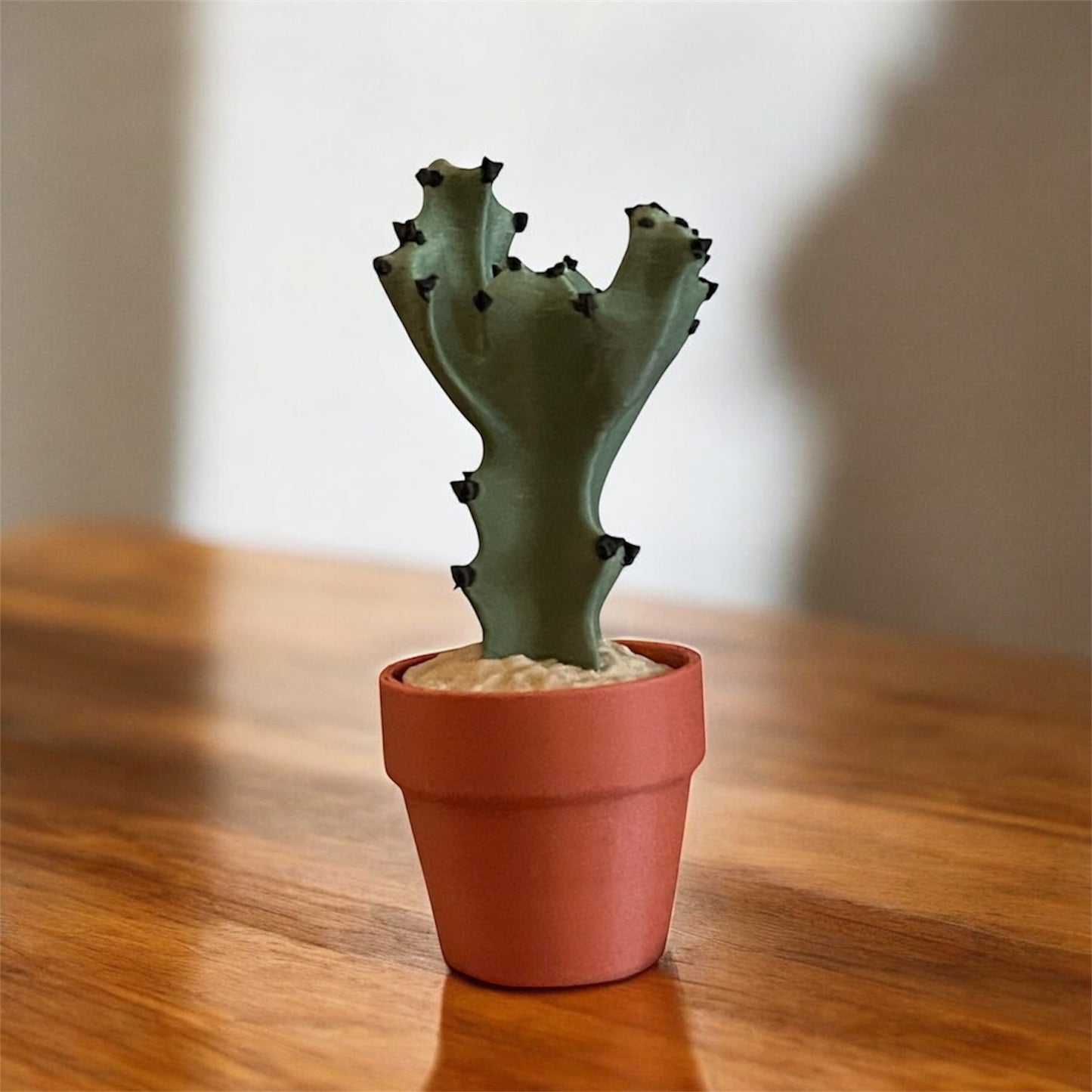Cactus Clickers Fidget Toy Collection with Display Stand