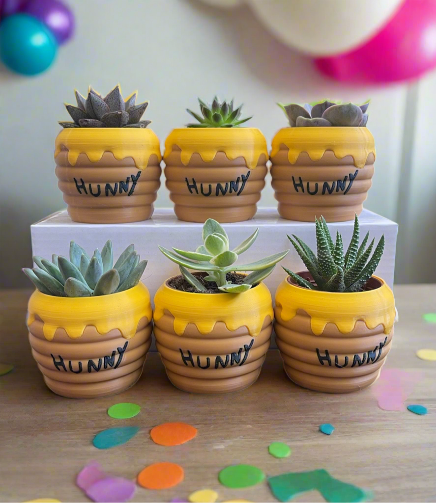 Six-Pack Hunny Pots & Succulents – Winnie the Pooh Party Favors
