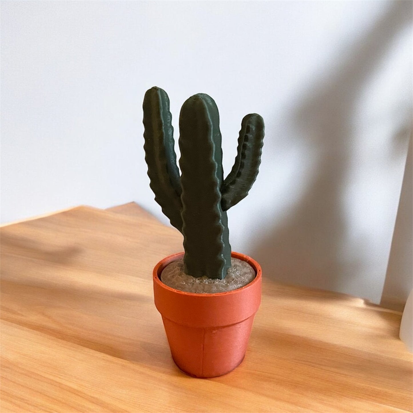 Cactus Clickers Fidget Toy Collection with Display Stand