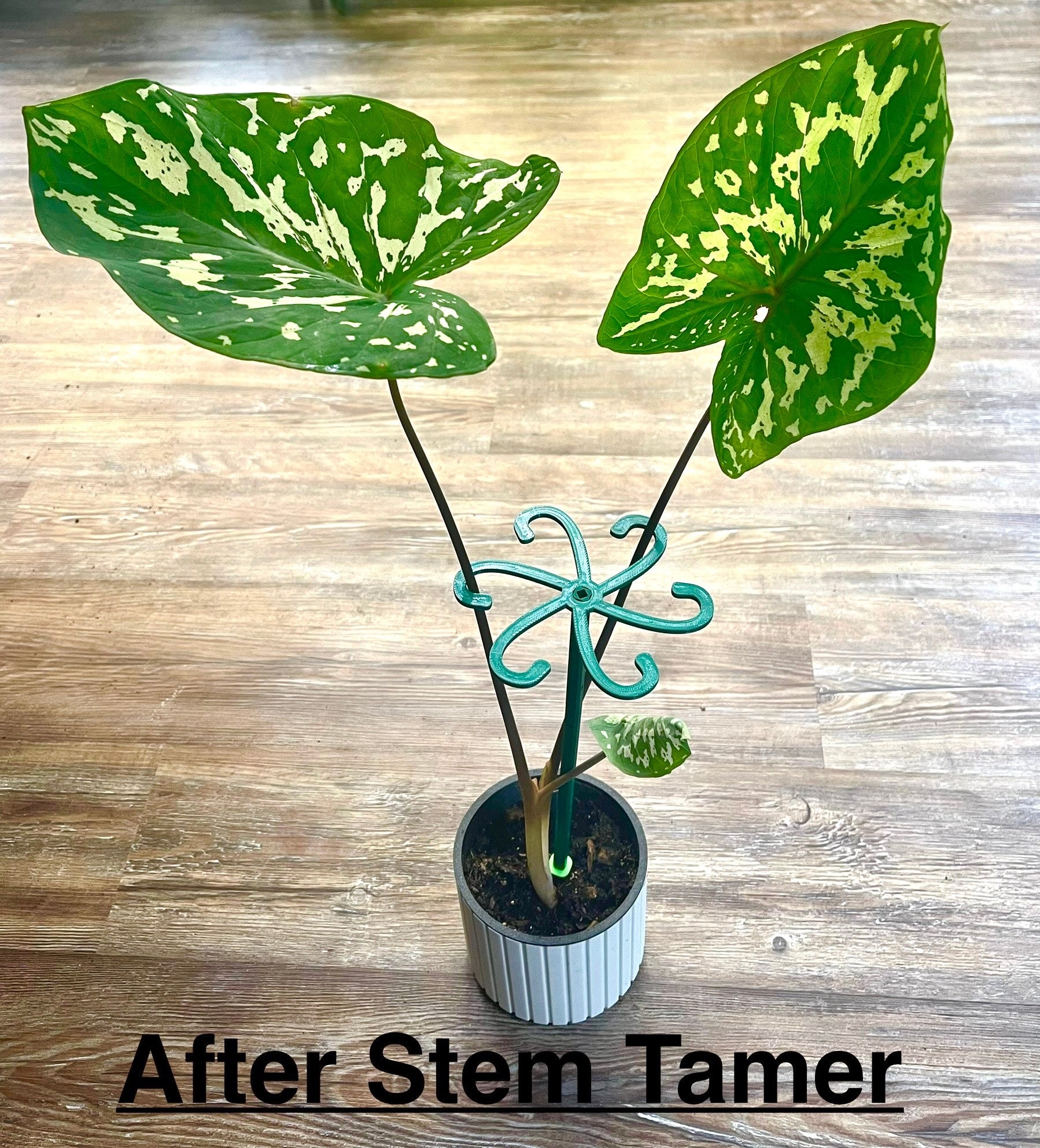 Stem Tamer Leaf Support