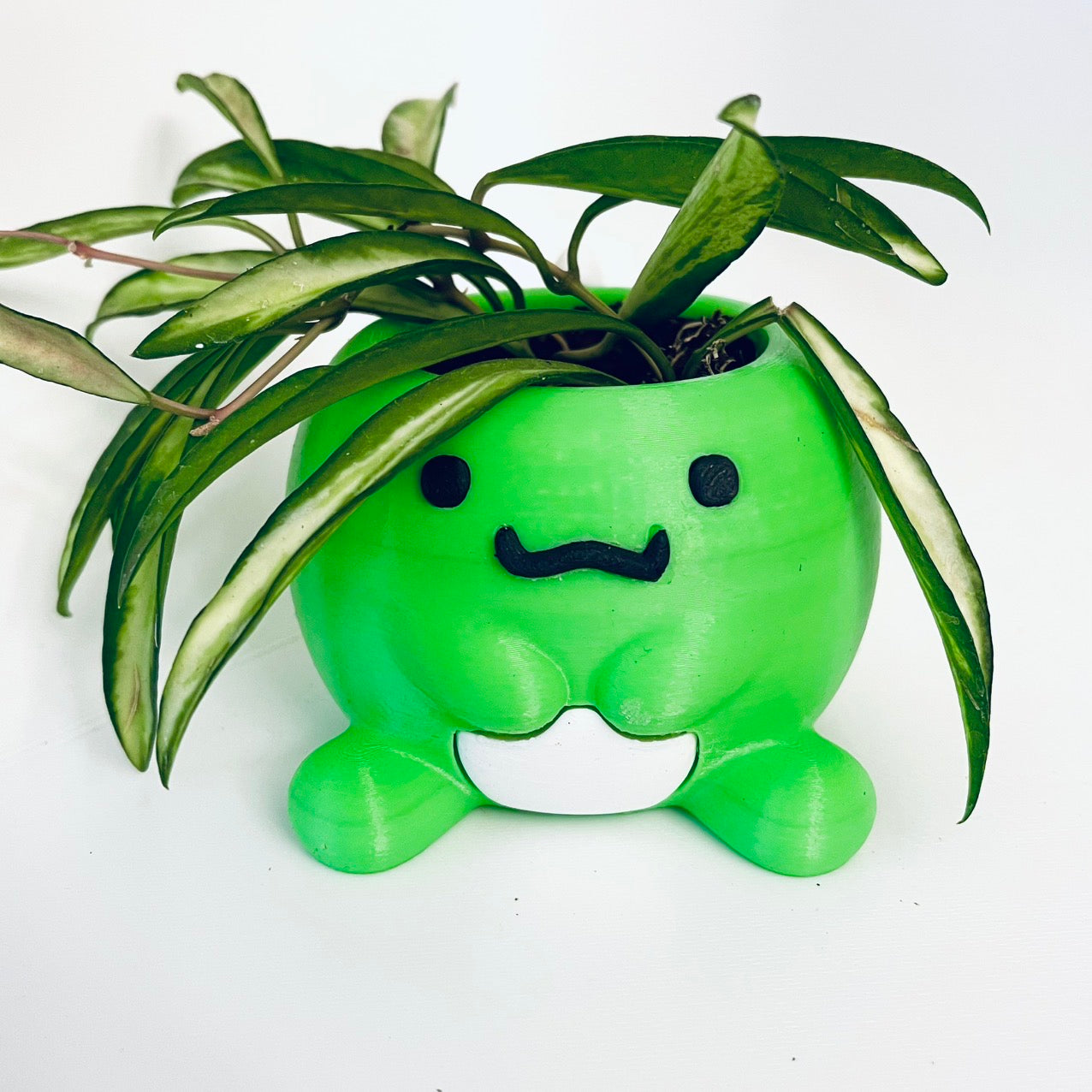 DinoMite Dinosaur Planter