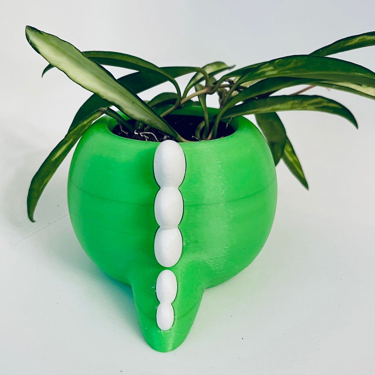 DinoMite Dinosaur Planter