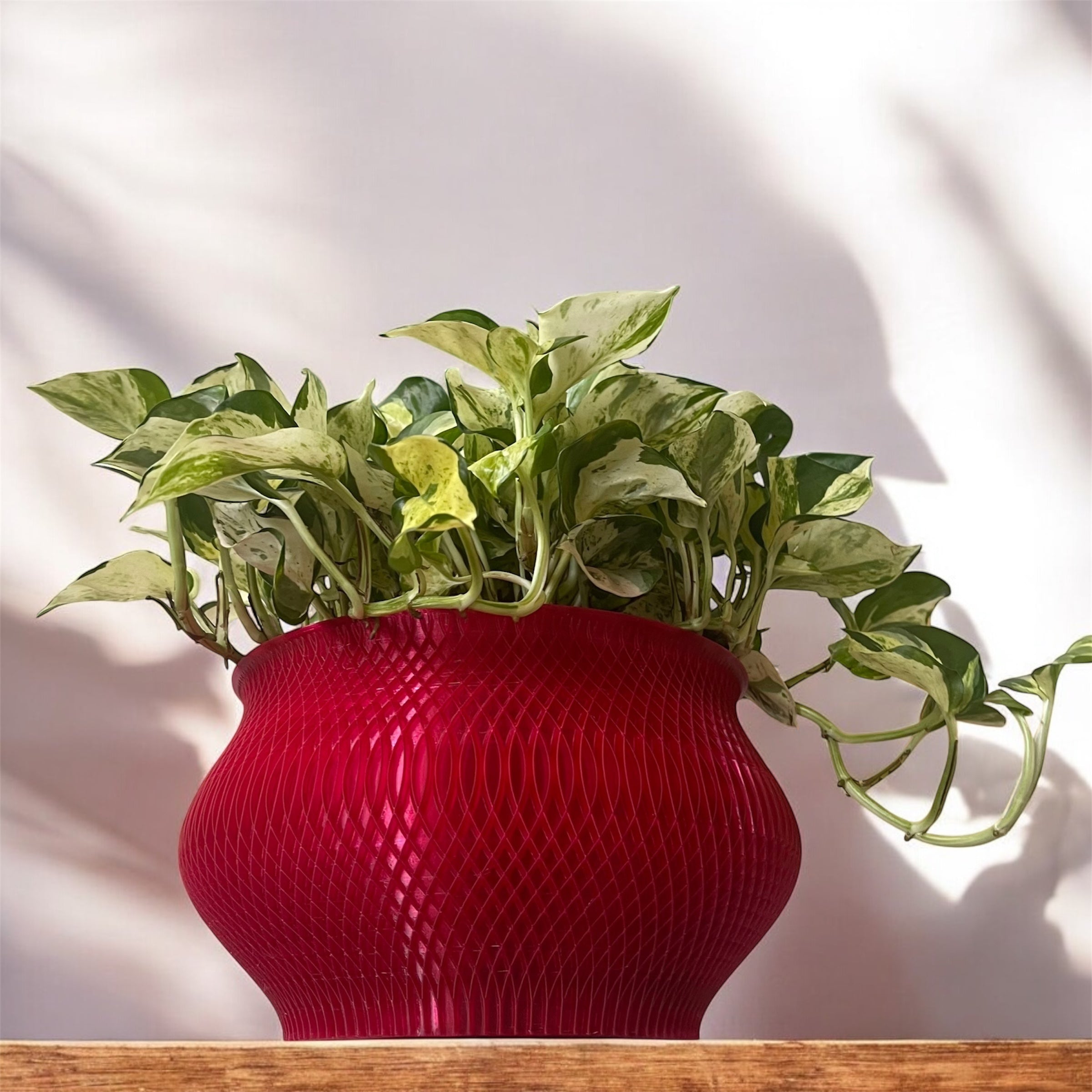 Woven Cache Pot Architecture Planter - Genetic Designs