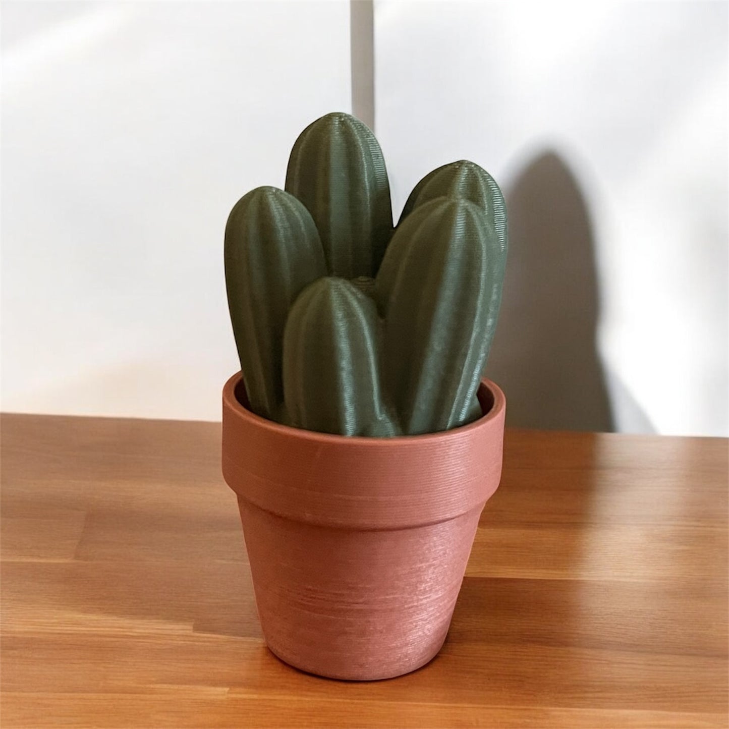 Cactus Clickers Fidget Toy Collection with Display Stand