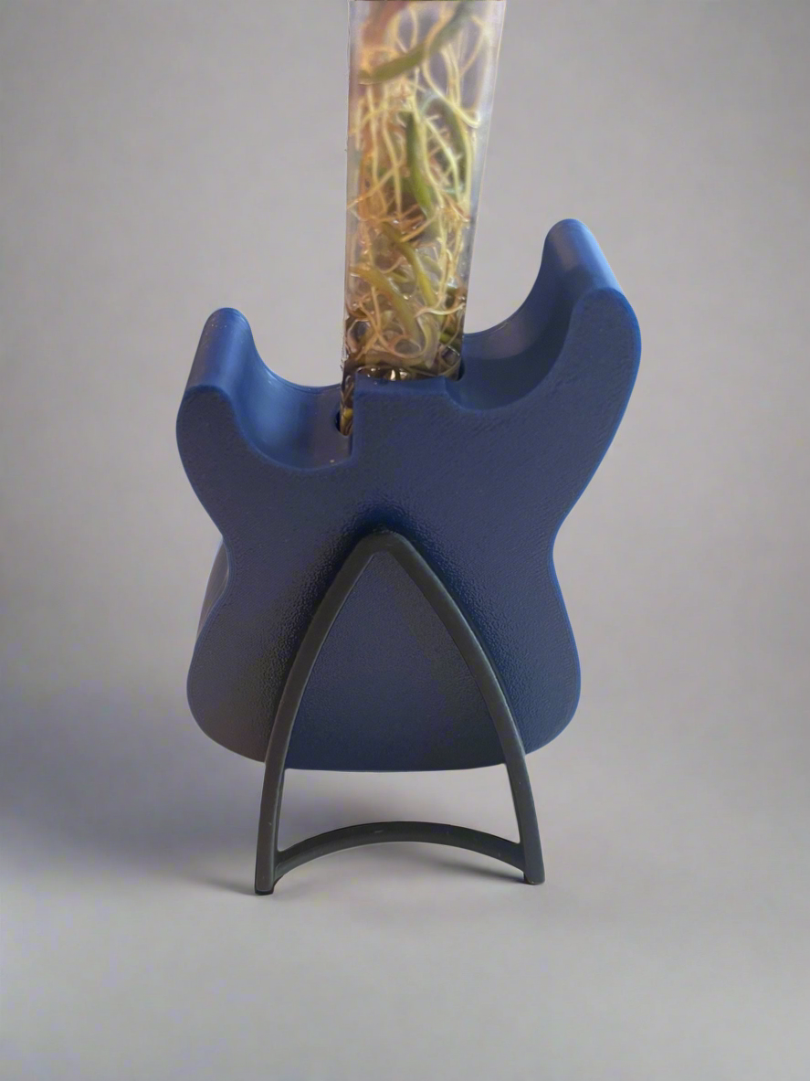 Rooted in Rock Propagation Station – includes Glass Tube