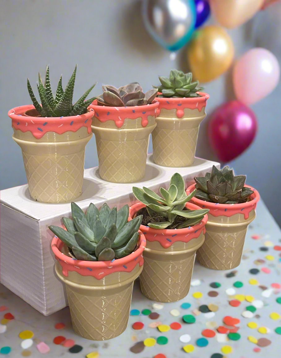 Six-Pack Succulent Filled Ice Cream Scoop Party Favors