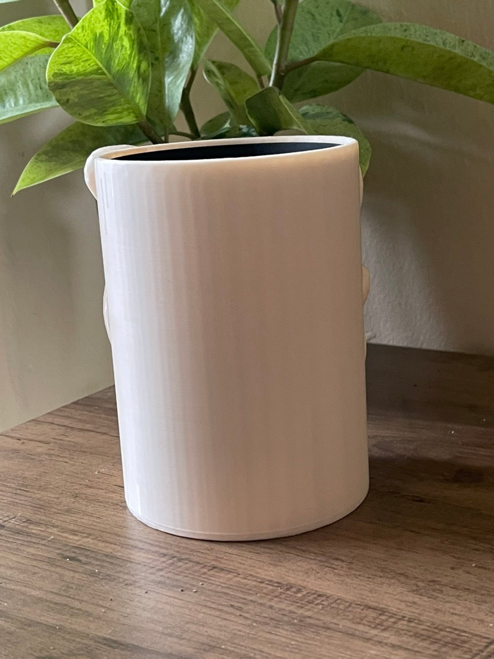 Tall Mushroom Self Watering Planter