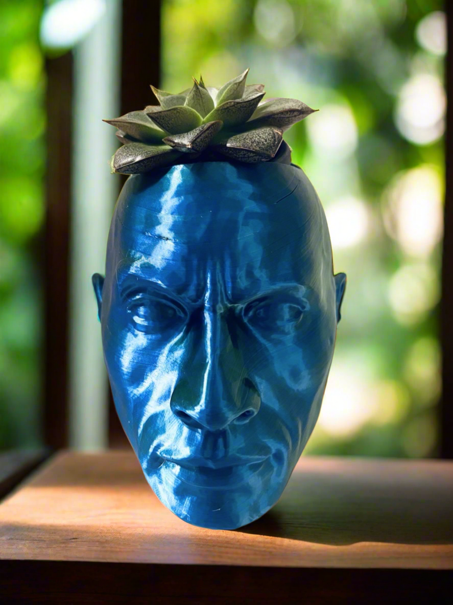 The Rock Dwayne Johnson Planter