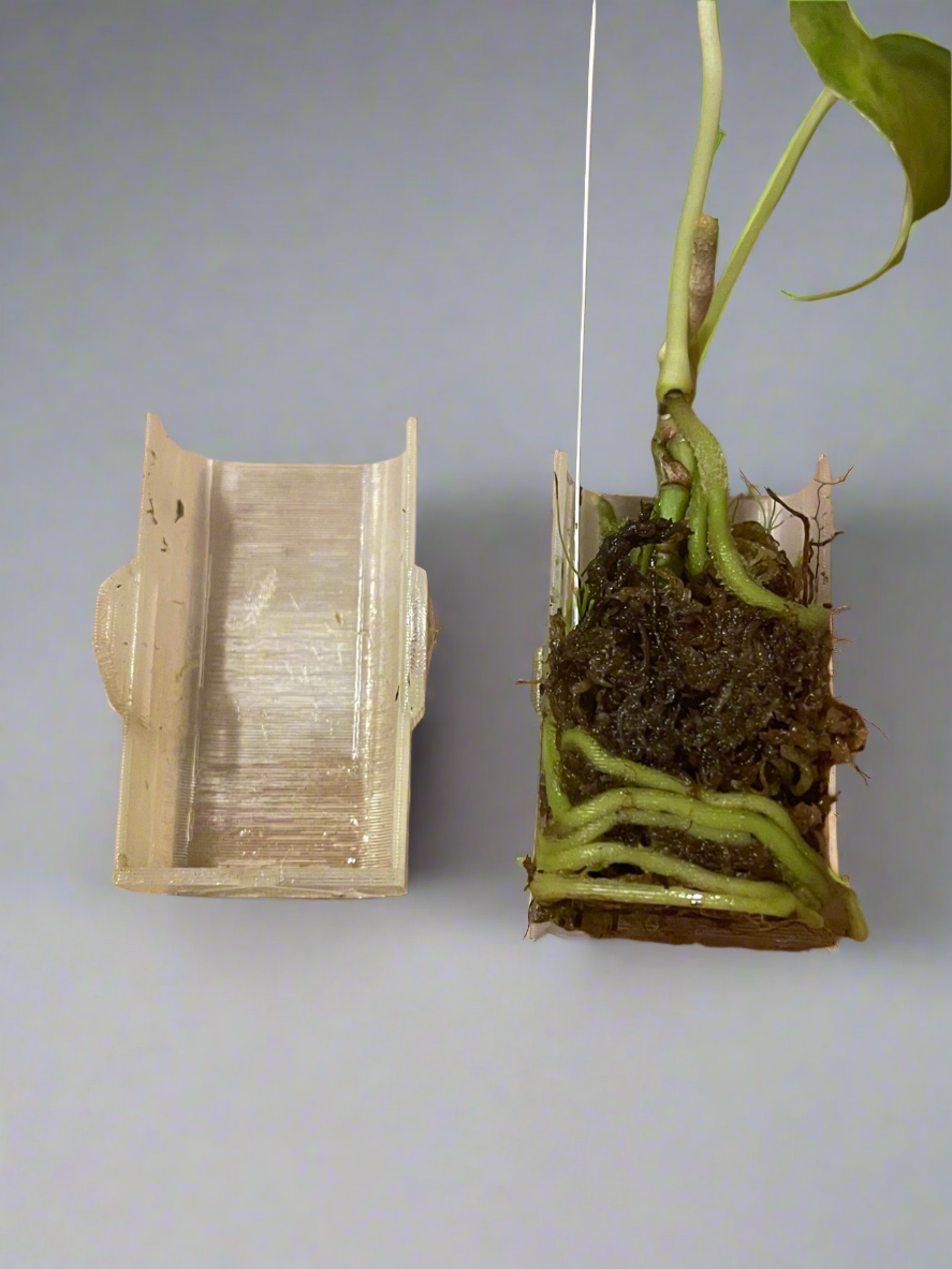 ClearGrow - Substrate Propagation Station