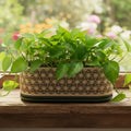 Oblong Kumiko Planter