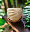 WovenAura Two-Tone Planter with High-Low Drip Tray