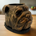 Spike Bulldog Planter with Drip Tray