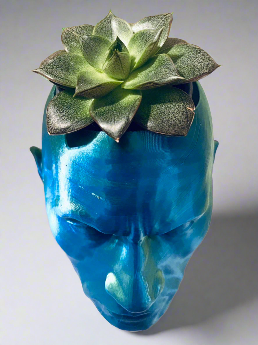 The Rock Dwayne Johnson Planter