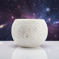 Fly Me to The Moon Planter