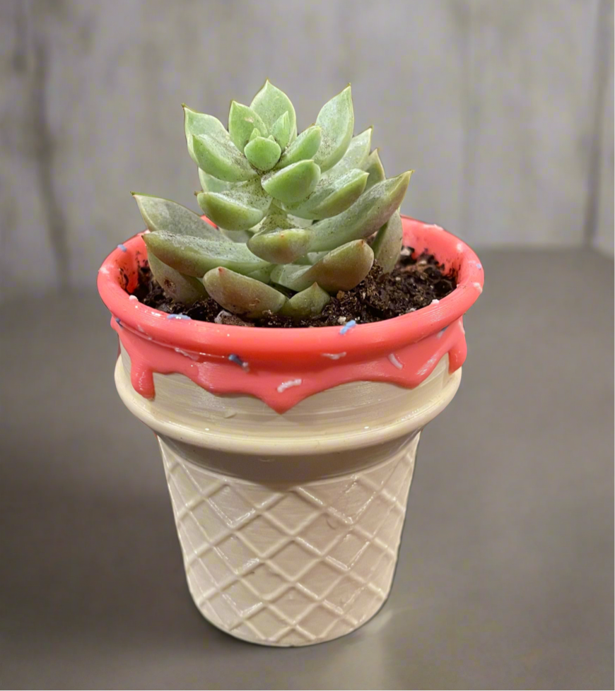 Sprinkle Scoop Planter