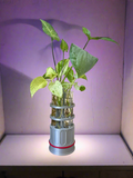 Cryogenic Propagation Cylinder – 6 Tube Edition