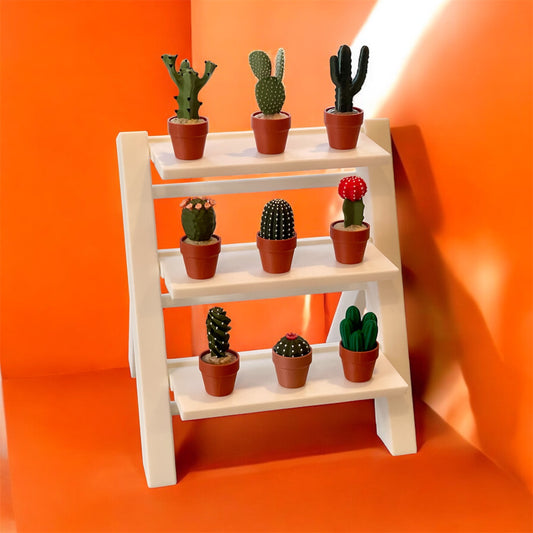 Cactus Clickers Fidget Toy Collection with Display Stand