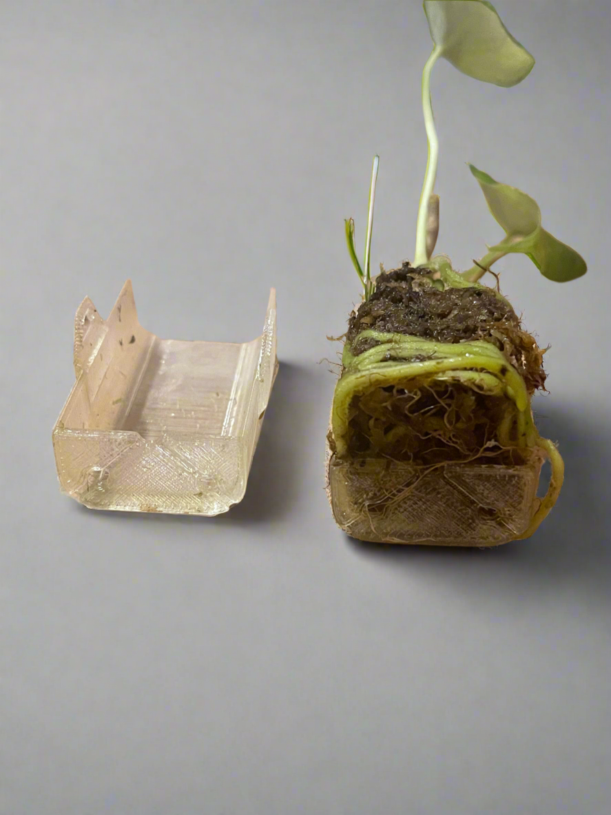 ClearGrow - Substrate Propagation Station