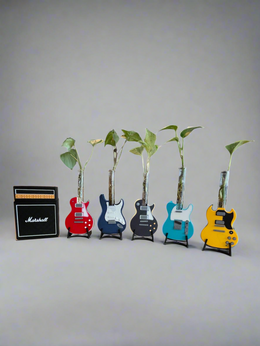 Rooted in Rock Propagation Station – includes Glass Tube