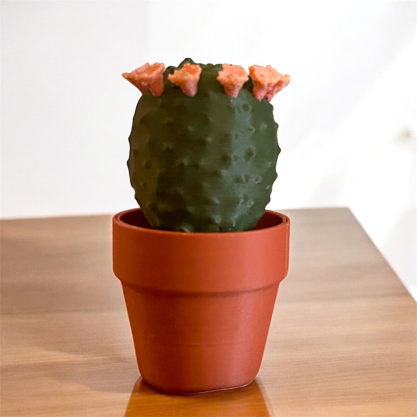 Cactus Clickers Fidget Toy Collection with Display Stand
