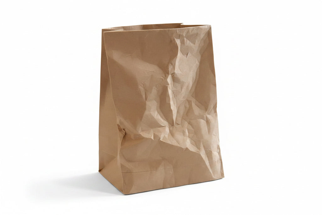Paper Bag Planter with Hidden Drip Tray