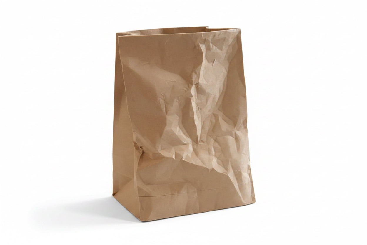 Paper Bag Planter with Hidden Drip Tray