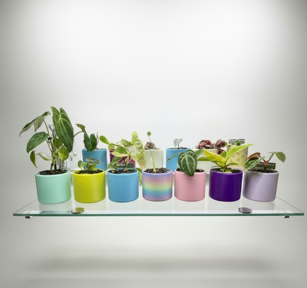 Show Me Roots Self Watering Planter