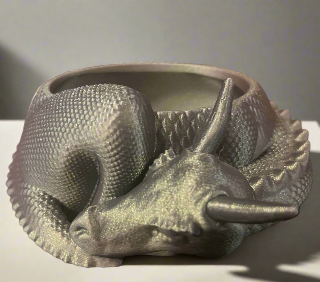 Slumber Dragon Jewelry Holder