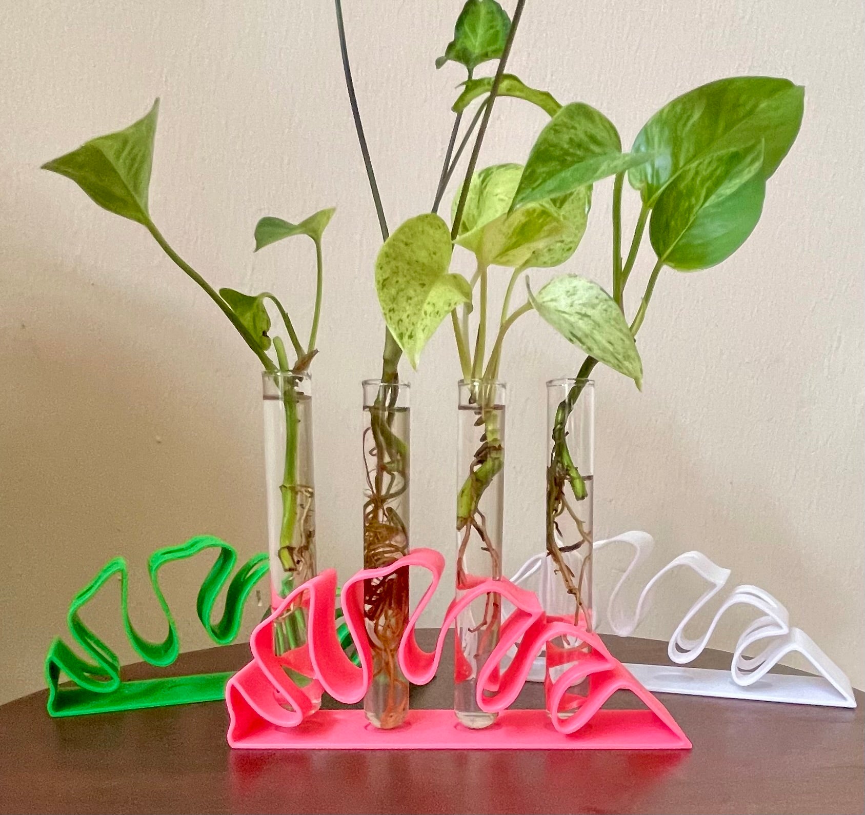 Monstera Leaf Propagation Station – includes Glass Tubes